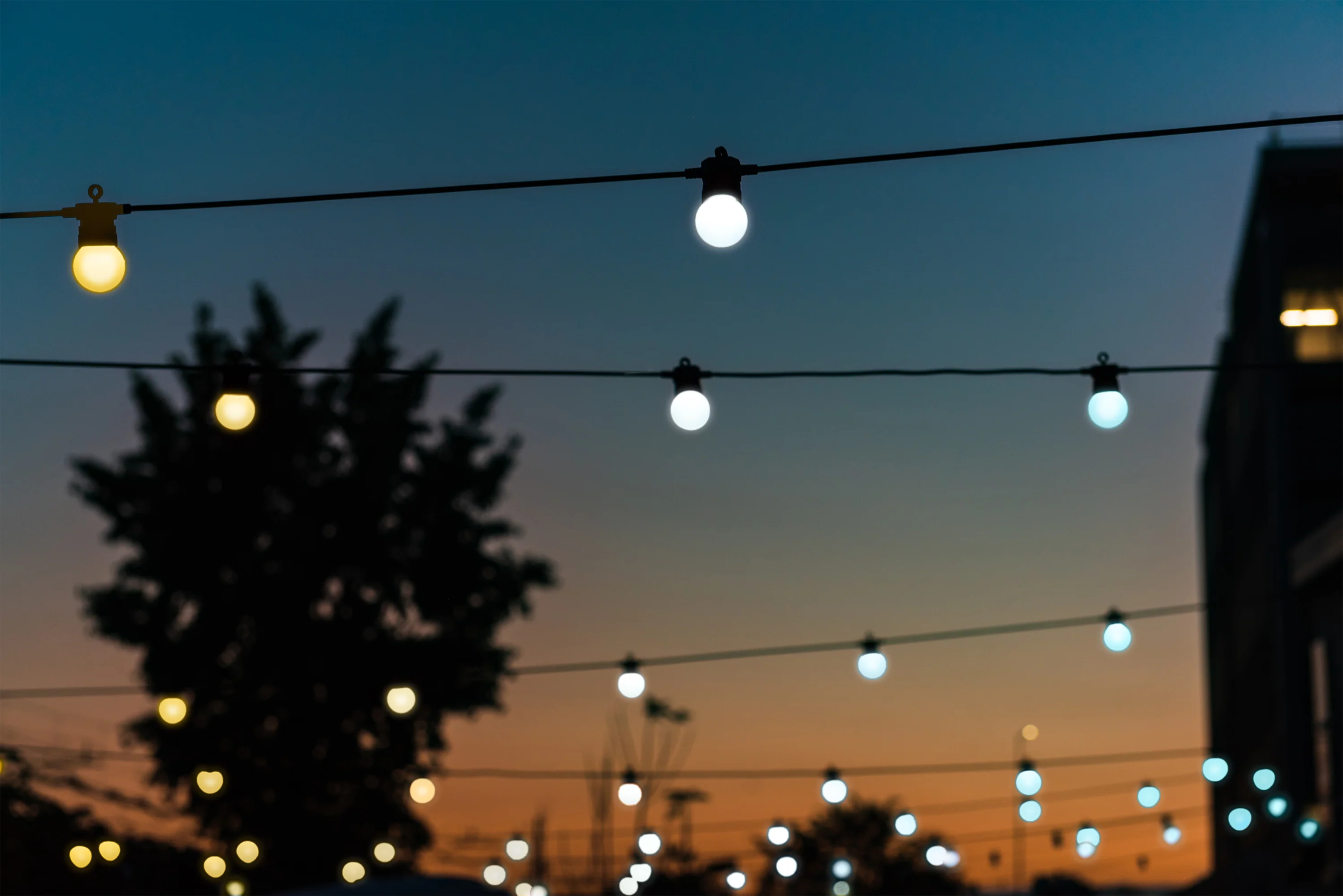 Festoon Gold & Silver - Image 4