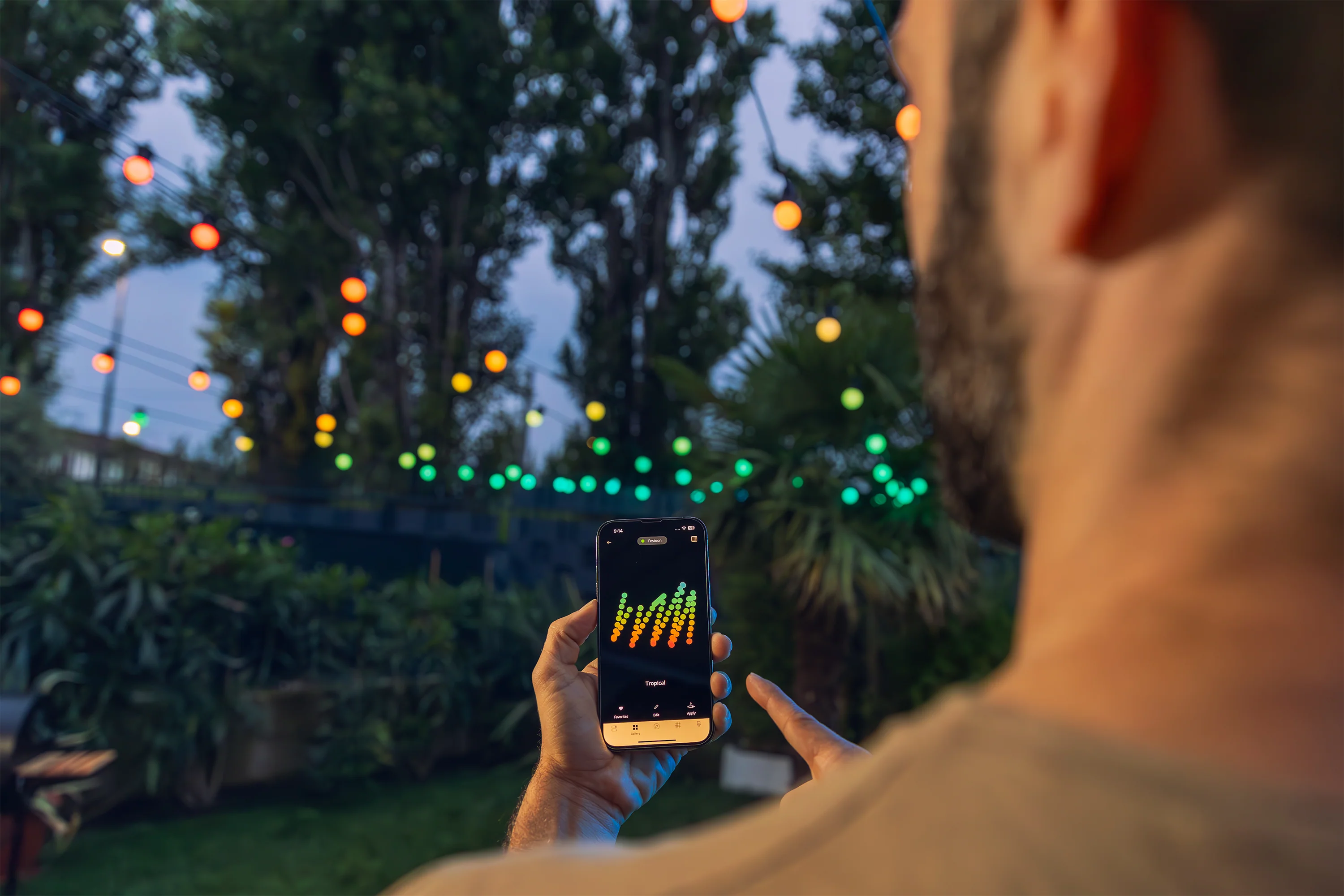 Festoon Multicolor - Image 3