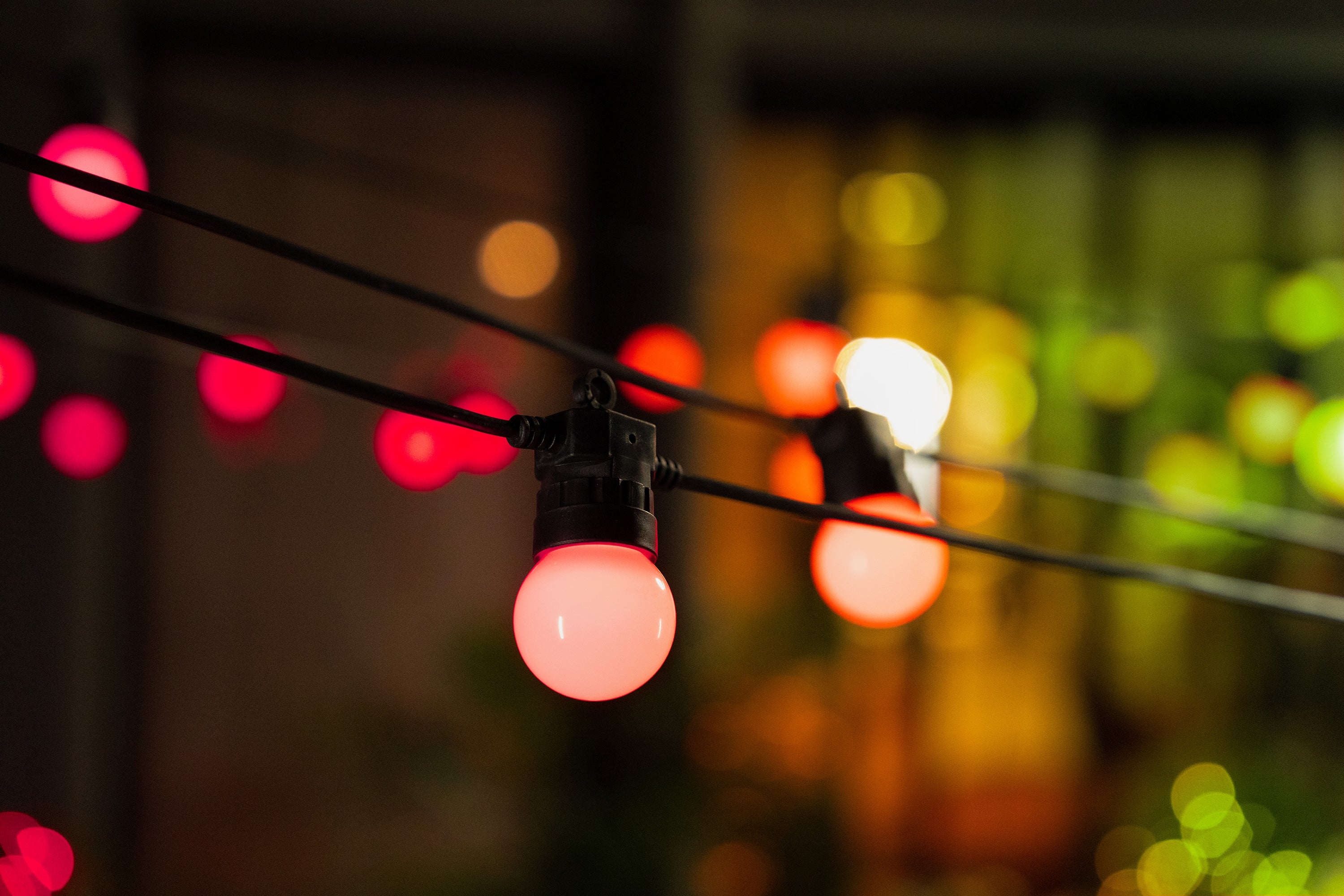 Festoon Multicolor - Image 4