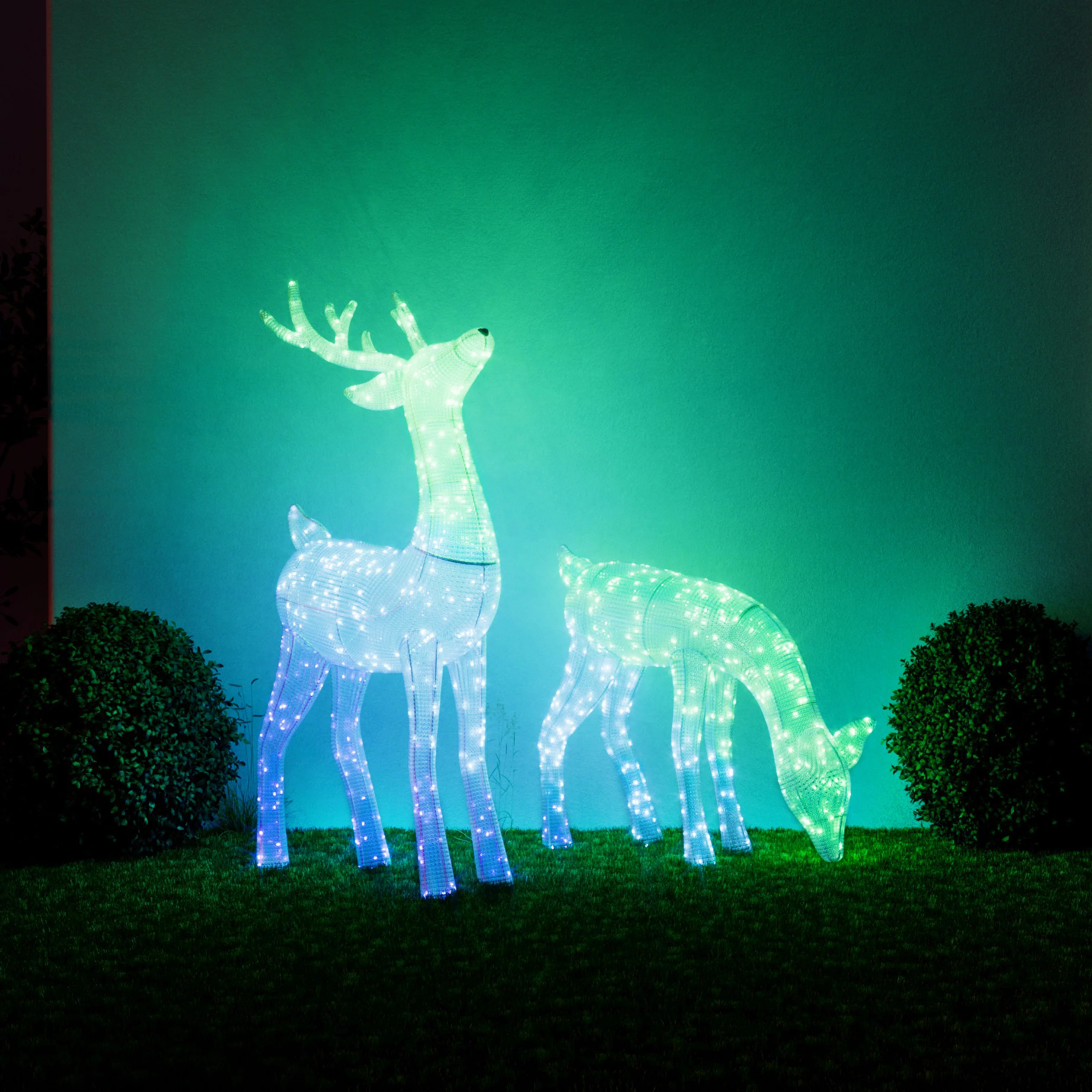 Reindeers - Image 4